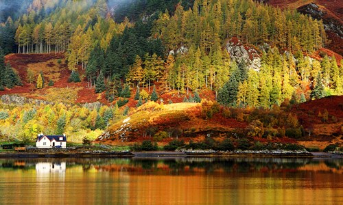 Autumn Scottish Shutterstock cropped.jpg