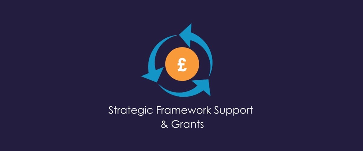 COVID-19 Strategic Framework Support
