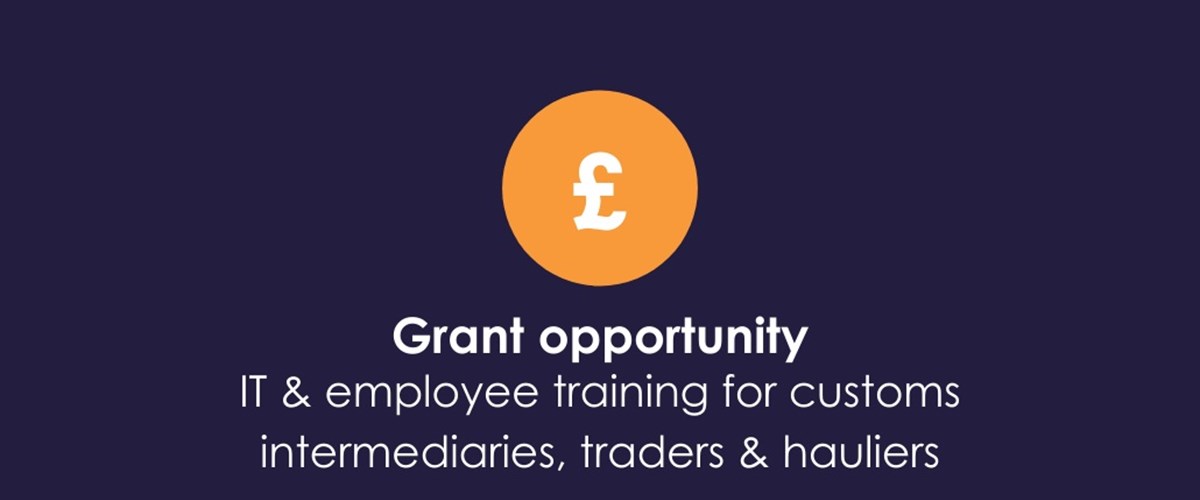 Government Grant Scheme for IT Improvements & Employee Training